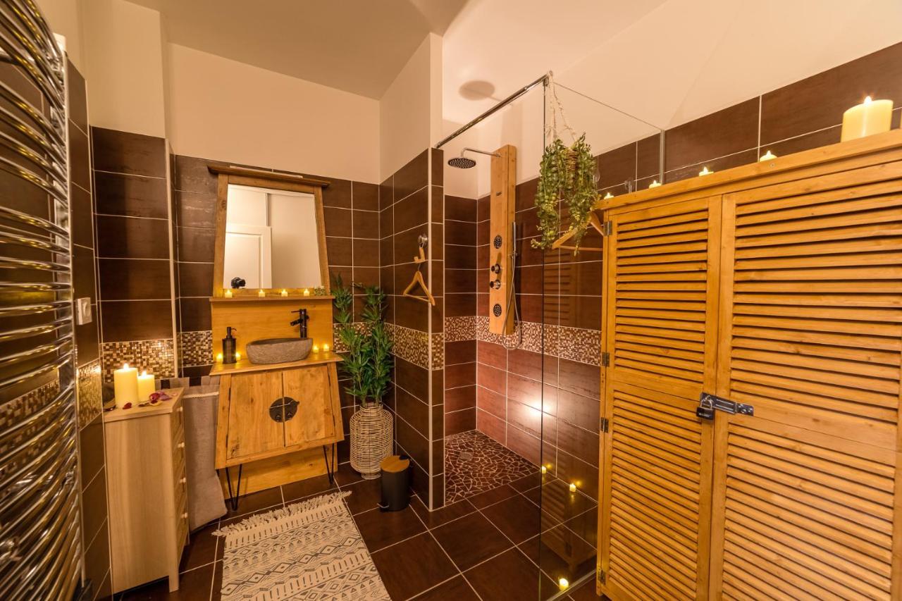 Appartement L'Evasion Nature 特鲁瓦 外观 照片
